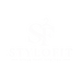 STYLO FIT - Home